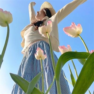 傲骨贤妻第五季