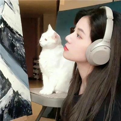 冒牌特工零零七